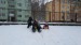 Děti si letos sníh opravdu užily (a nejen děti) - únor 2021012